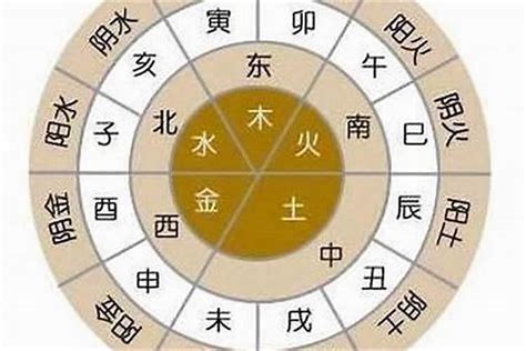 木木和三土|八字四土三木一金 (三木三土一金一水是啥命)